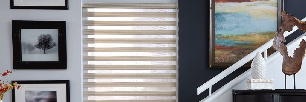 zebra blinds
